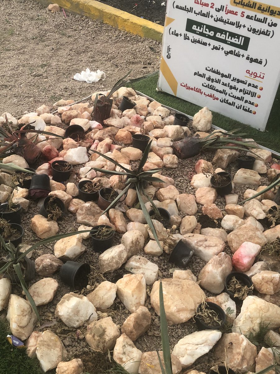 جيانا كافيه ☕️ tweet media