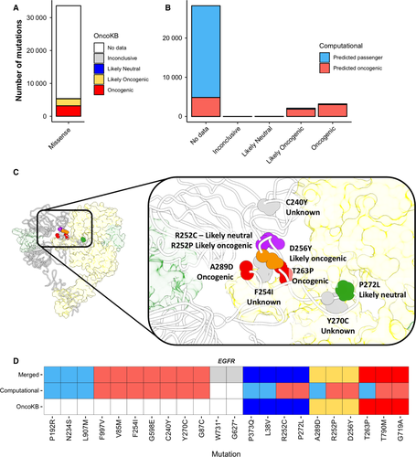 FEBS_Letters's tweet photo. Review: Understanding the #oncogenicity of #cancer #drivergenes and mutations in the #genomics era →https://t.co/WT9qFpmVA1 #oncogenes #tumorsuppressors #tumormicroenvironment #personalizedmedicine #immunotherapy #cancerimmunity @Alfons_Valencia https://t.co/52Oca9La7d