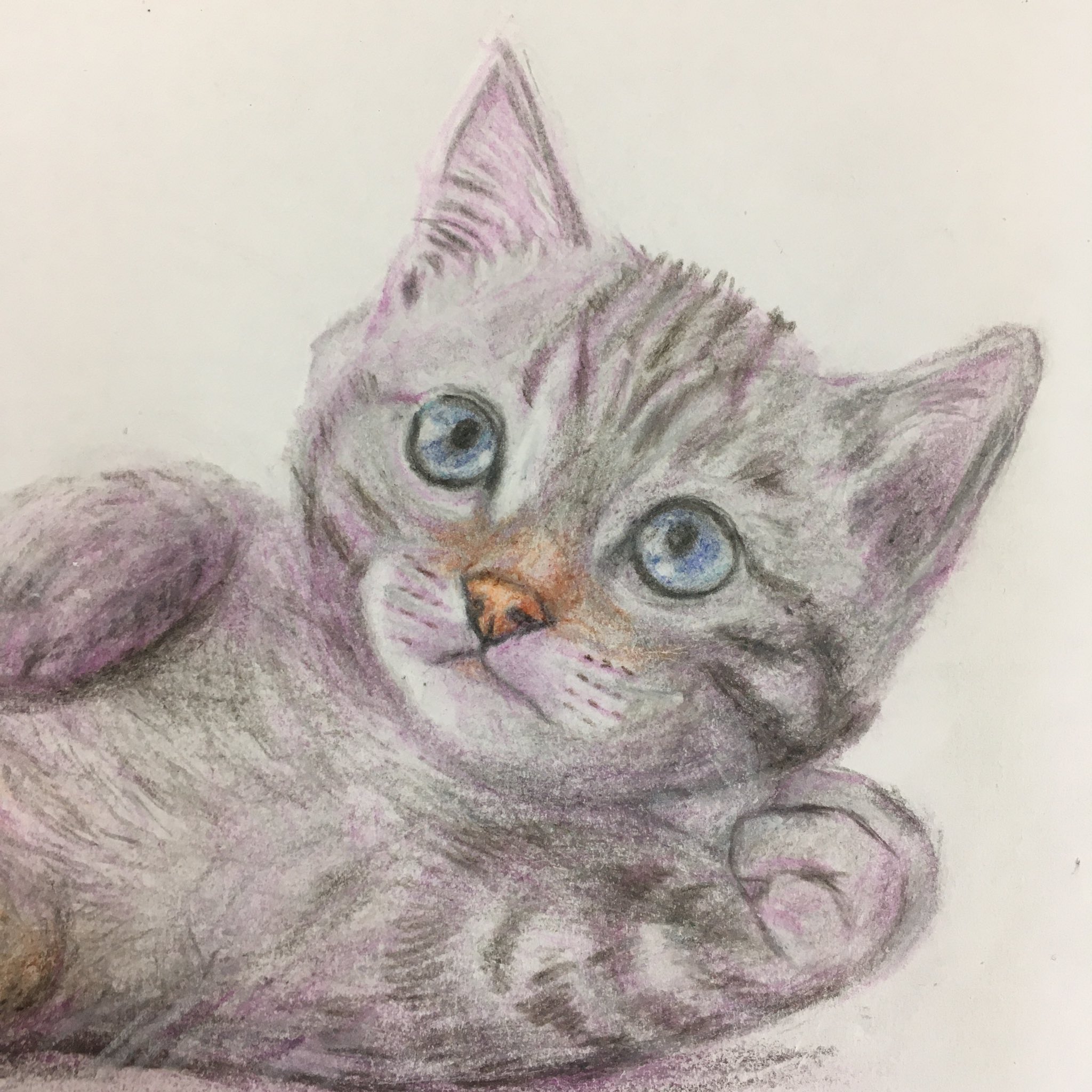 ガトペロ 今日もまた猫ちゃん描いてみました 横向きにネコろぶねこちゃん 猫好き ネコ イラスト イラスト練習中 猫好きさんと繋がりたい イラスト好きさんと繋がりたい Illustration Cats アナログ 鉛筆 色鉛筆 お絵描き みんなで
