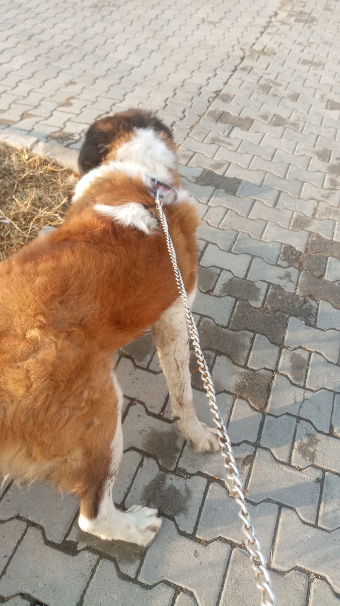 Böylesi ikimizin sağlığı için de daha mantıklıymış