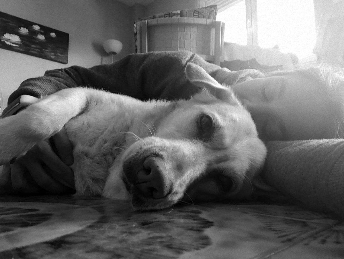 terapyanimales's tweet photo. En nuestro último blog, nuestra psicóloga y experta en mindfulness Isabel Sánchez nos habla del maravilloso poder de los micromomentos. 

Y tú, ¿eres capaz de valorarlos?

https://t.co/HsHvWS2IqU https://t.co/KEpGjQW3Xb