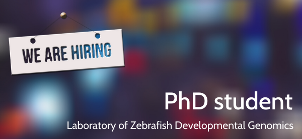IIMCB_Poland's tweet photo. Laboratory of Zebrafish Developmental Genomics at #IIMCB, headed by Cecilia #Winata is looking for #PhD student.
๐ Deadline for applications: December 18, 2020.
๐ More: https://t.co/xySXpKY76c
#JobOffer #NCN #job #zebrafish #daniorerio #WinataLab #praca #OPUS #NSC #career https://t.co/UcLFLaGbjv