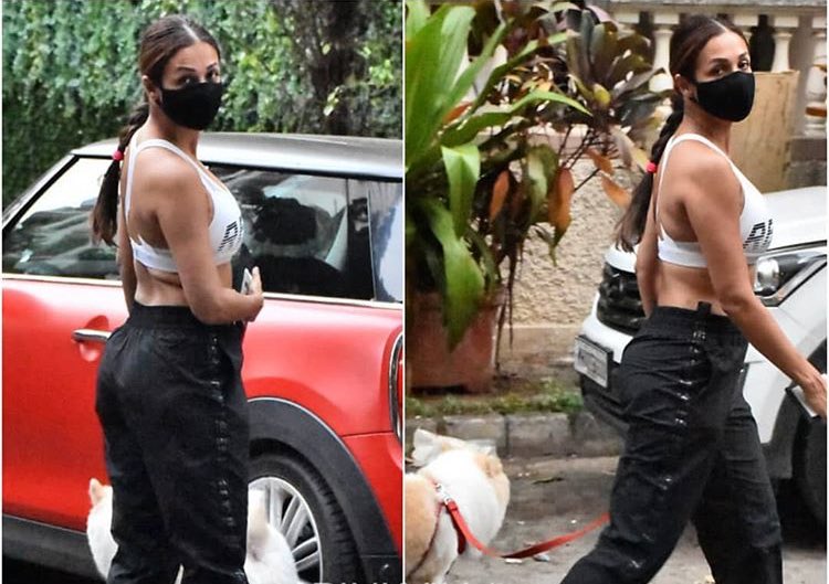 MovieTalkies's tweet photo. Walk time with the little doggy! 

#malaikaarora #doglovers #star #papprazzi #spotted #bollywood #movietalkies #papped https://t.co/hKWICGKsiK