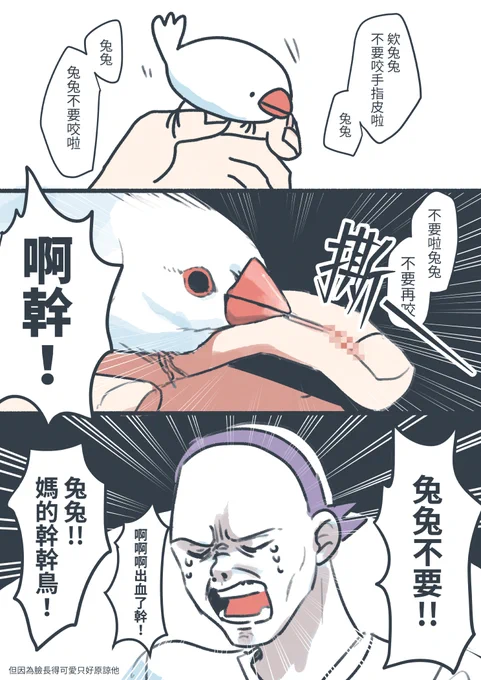 うちの文鳥は多分人類を滅びたいです助けて 