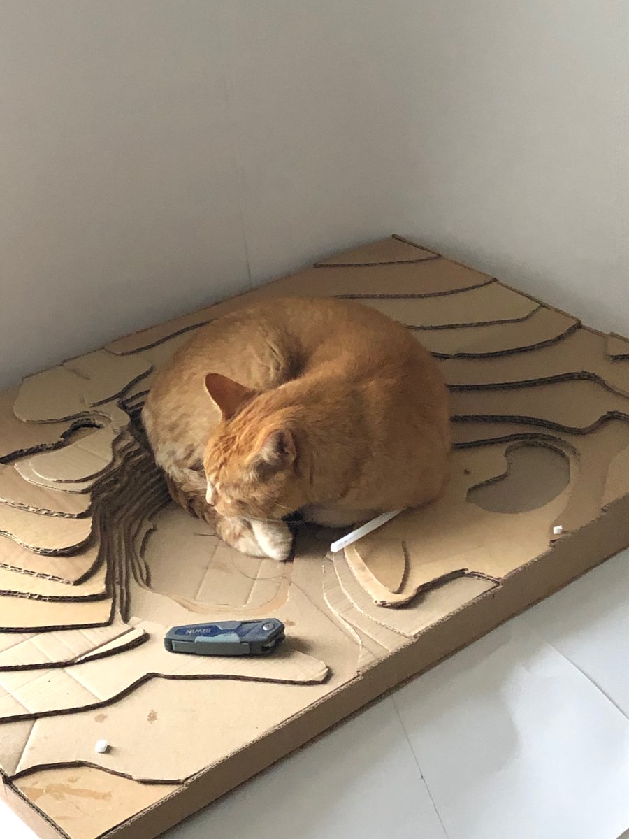 Arch_Falmouth's tweet photo. Hello!...it's been a busy few months hasn't it? We're back with updates, great student work and our first group of Masters students! For now, here's a cat asleep in a contour model of a quarry from our project reviews a few weeks ago! Happy Friday #CatsOfTwitter #Architecture https://t.co/8qXtR82bEM
