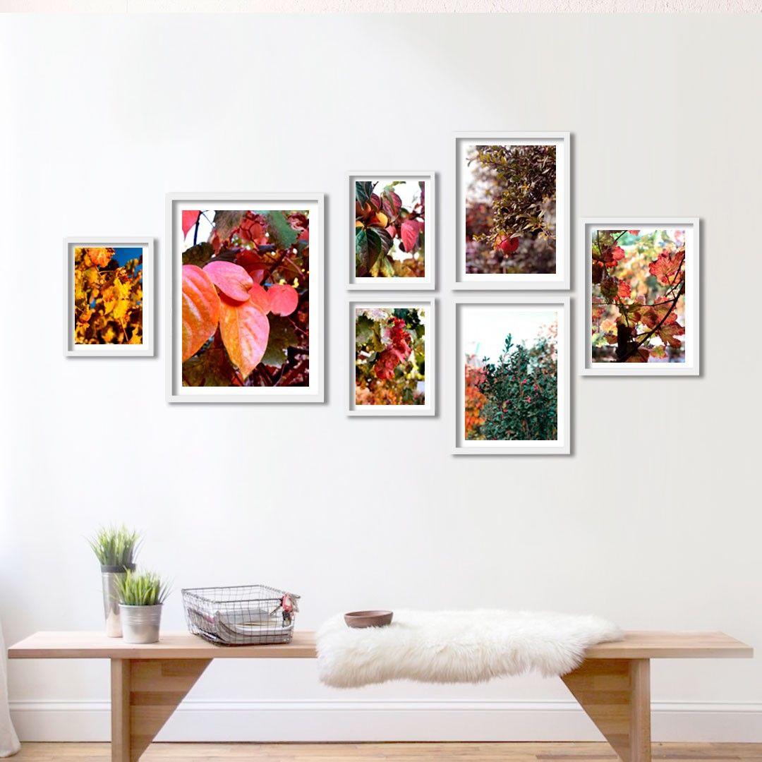 dolduduvar's tweet photo. My Garden Çerçeveli Poster Seti https://t.co/5sCLraZ7is

#kanvastablo #tablo #doluduvar #dekor #alisveris #duvardekor #duvardekorasyon #dekorasyon #tablofikirleri #posters #posterset #homestyle https://t.co/3MESYibcQ3