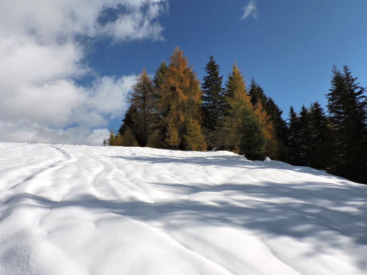 "In ogni passeggiata nella natura, si riceve molto di più di quanto si cerchi" - John Muir

Buon weekend!

📸 @nadia_basso71