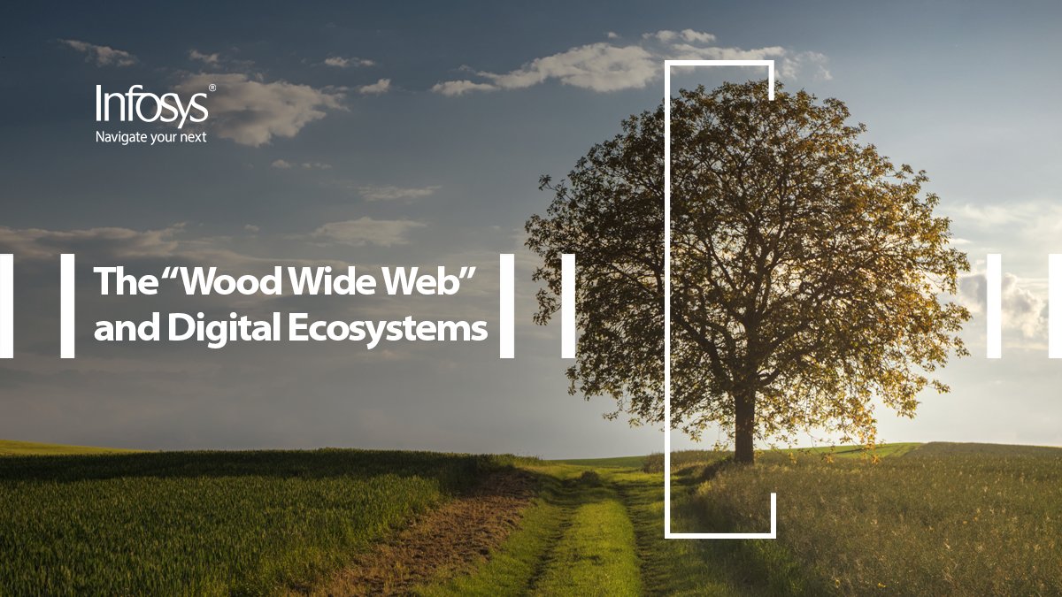 Infosys (@infosys) on Twitter photo What can we learn from trees? The “wood wide web” is alive and well, has a lot to teach the world of business. Evolve to survive, and look to nature to gain an edge. Find out more infy.com/3oYKHsh <a href="/Infosys_IKI/">Infosys Knowledge Institute</a> #LiveEnterprise #InfosysKnowledgeInstitute What can we learn from trees? The “wood wide web” is alive and well, has a lot to teach the world of business. Evolve to survive, and look to nature to gain an edge. Find out more infy.com/3oYKHsh <a href="/Infosys_IKI/">Infosys Knowledge Institute</a> #LiveEnterprise #InfosysKnowledgeInstitute