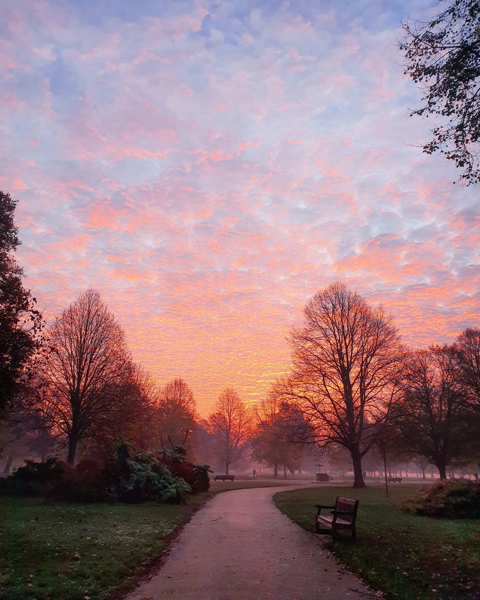 The #sky was on #fire today. 🔥 So grateful the #lockdown taught me to appreciate more #natural #beauty.

#BeKindtoYourParks @theroyalparks

#NoFilter #Beautiful #Sunrise #Nature #Photography #Painted #GoodMorning @ #HydePark #London #lockdown2uk