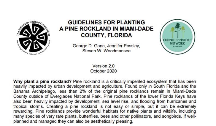 JennPossley's tweet photo. #PINEROCKLAND PLANTING GUIDELINES - 🔥🌲⛏Hot off the press!  Go a step beyond gardening to #restoration Miami! S/o Gann &amp; Woodmansee &amp; IRC. 🔗https://t.co/9C5wIpqmCM  @FairchildGarden @DadeFNPS https://t.co/ksLqGAfNxL