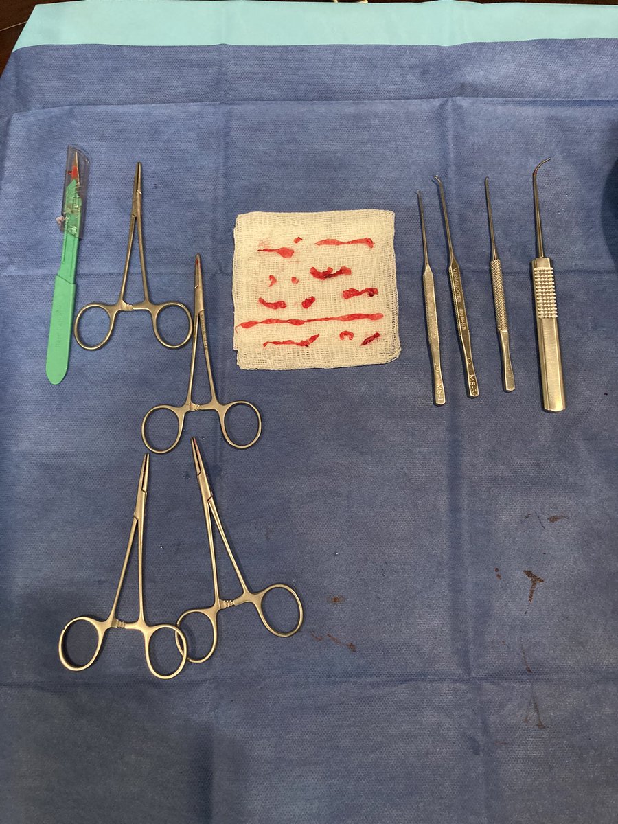 Safet Lekperic MD, RPVI tweet media