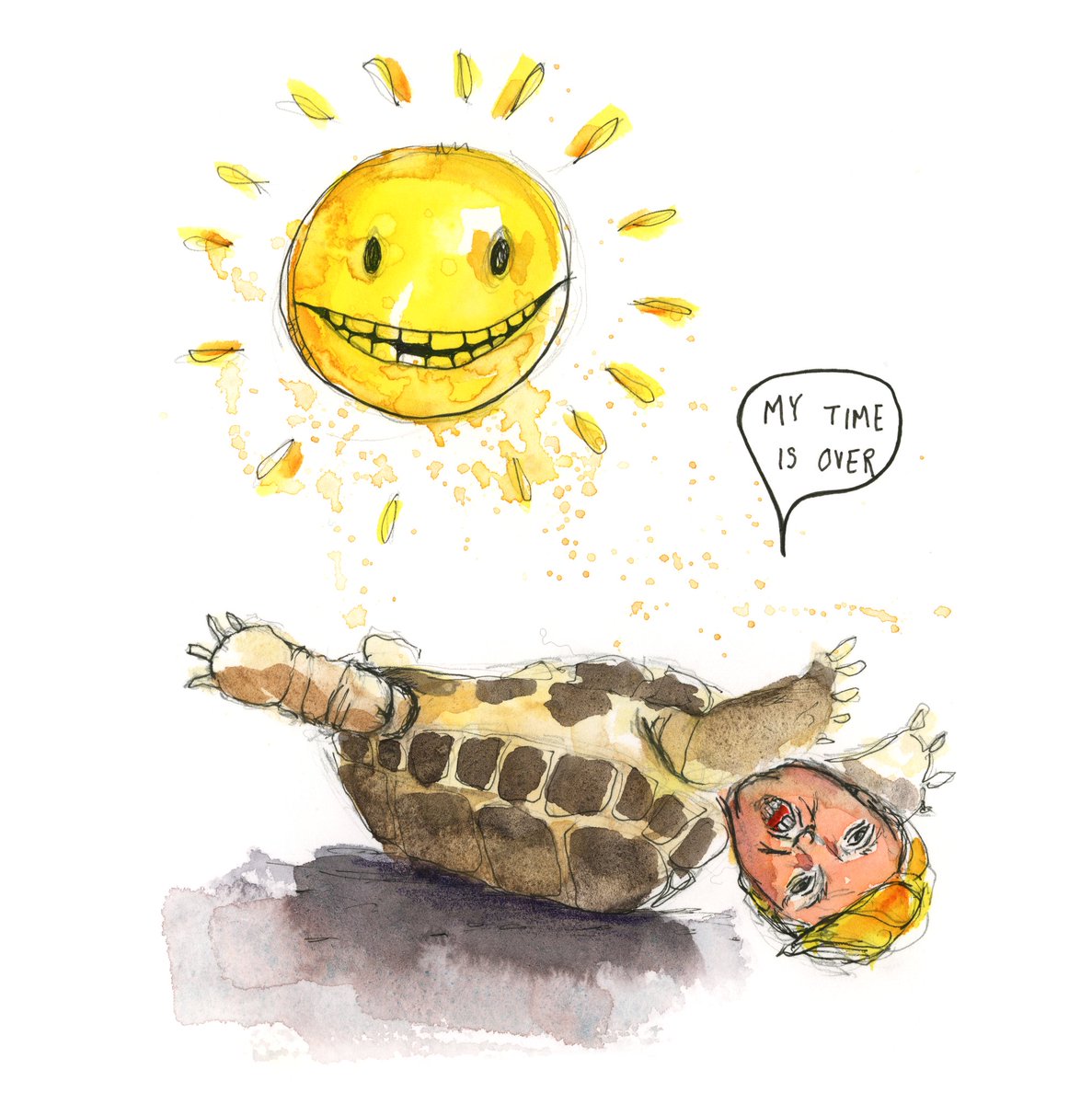 Fireduck1209k's tweet photo. Turtle Trump https://t.co/EssQitZ3NB