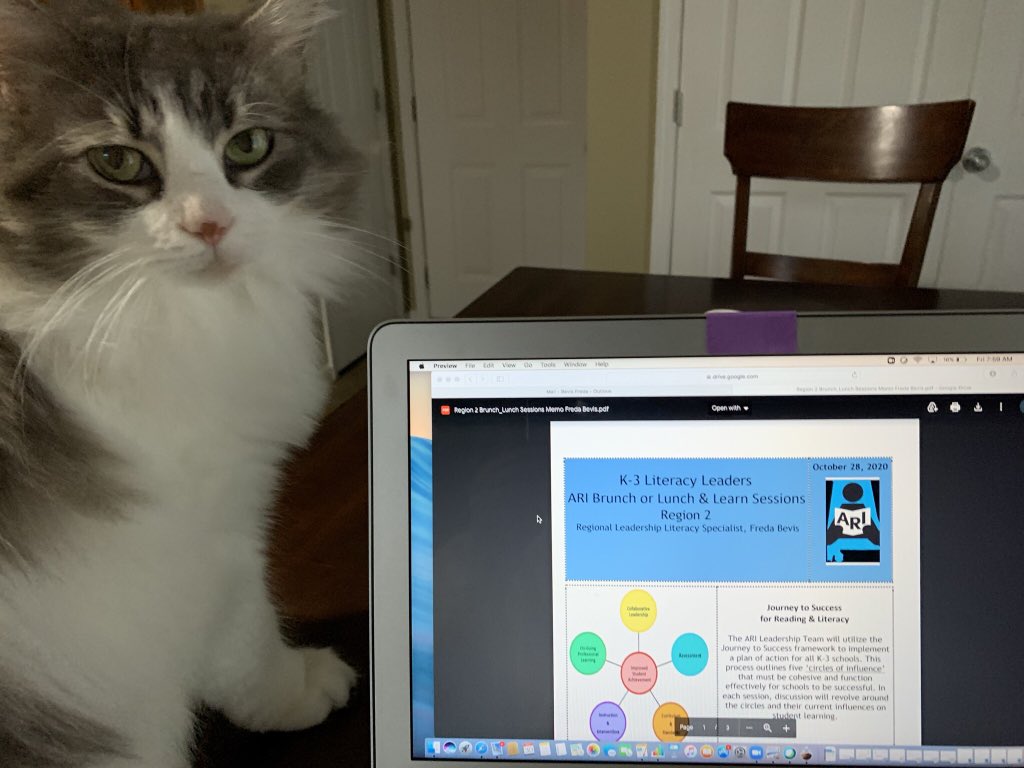 Freda Bevis tweet media