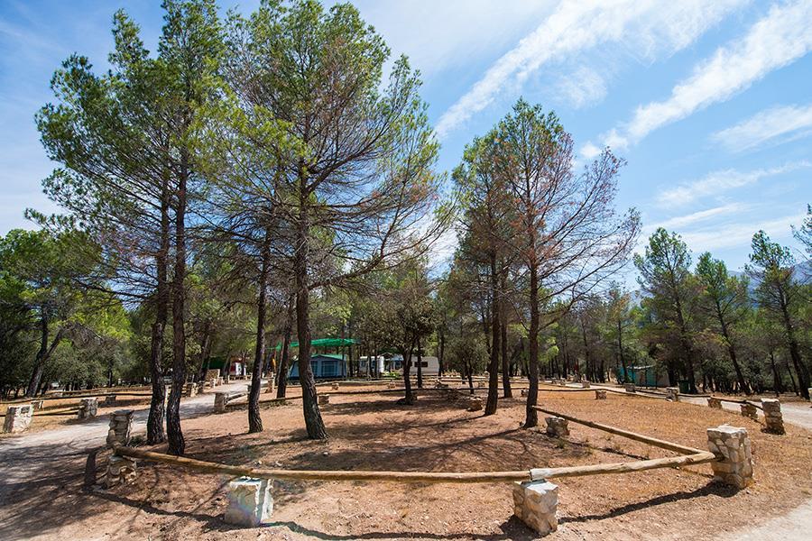 hispavan's tweet photo. Disfruta del entorno del camping sierra de Maria, este fin de semana le incluimos una oferta exclusiva por 299 euros incluyendo estancia en Camping Sierra de María 2ª categoría.
#Turismo #Interior #LosVélez #Almería #costadealmeria #titandesert #sinirmaslejosalmeria https://t.co/o7ZC3Qxbl8