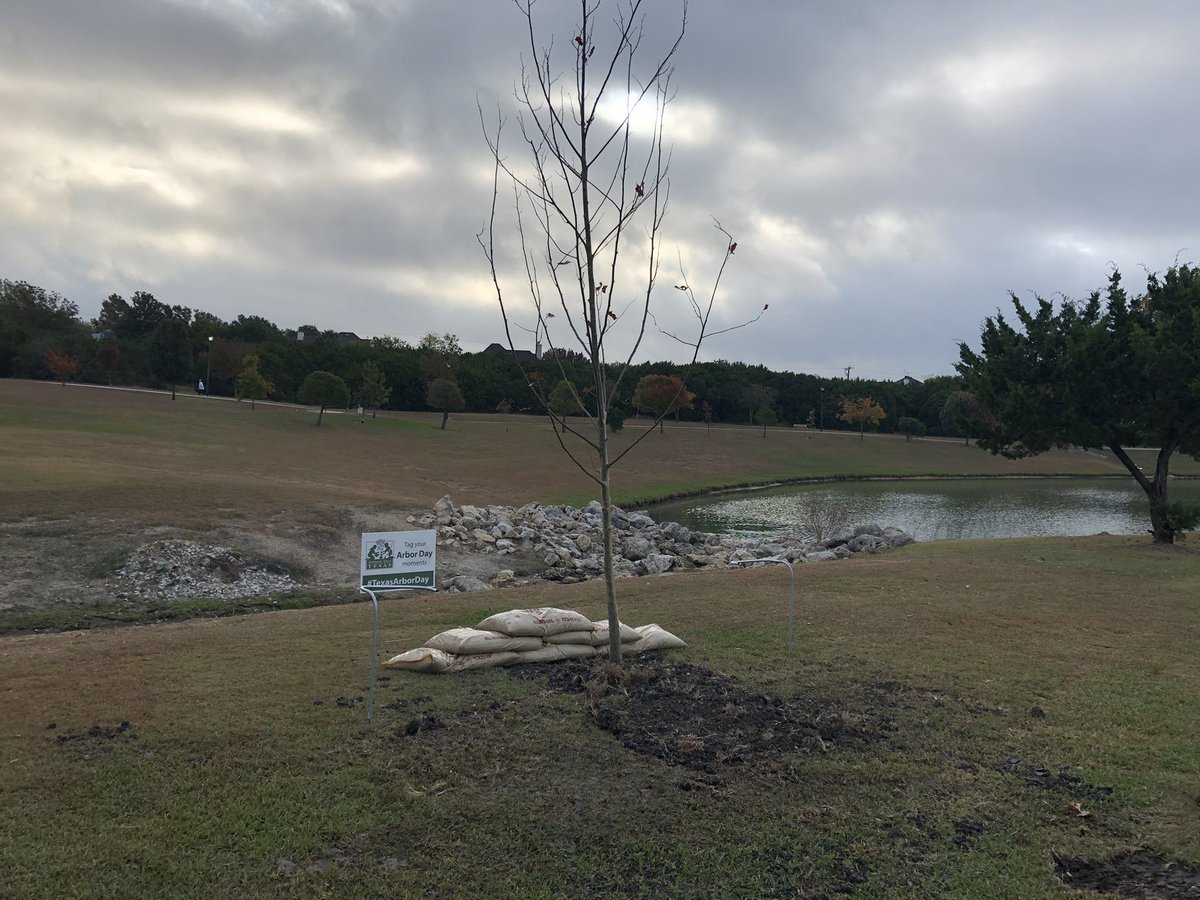 AustinTreeter's tweet photo. Setting up for #TexasArborDay in Harker Heights. https://t.co/cr8tSXnScD