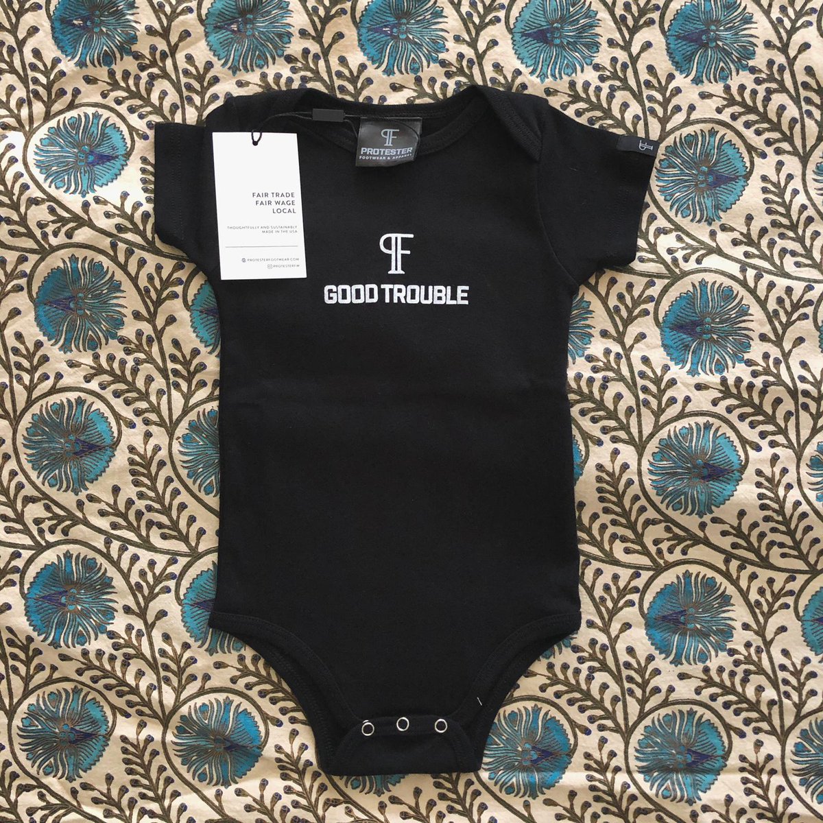 sushmitameka's tweet photo. Received this fitting gift in the mail last night. Georgia and late Rep. John Lewis, we owe you everything: "I have said this before, and I will say it again, the vote is precious. It is almost sacred. It is the most powerful non-violent tool we have in a democracy." https://t.co/AJaIcqk4Dp