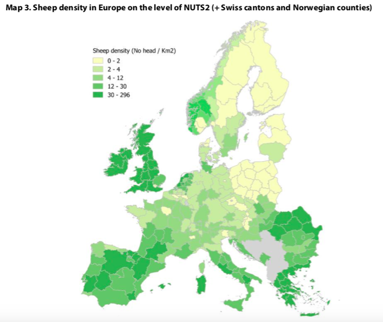Sheep numbers are declining across EU, but the UK still has ±50% more than the next largest flock (in Spain). However, Spain also supports one of the largest wolf populations in Europe, guarded in places by shepherds. Could Scotland find a similar balance?  https://www.scotlandbigpicture.com/rewilding-stories/the-wolf-too-wild-2?fbclid=IwAR38NbJwgB6B8E6jOSiuHYG7sLbq_2mXzAPsQKz_ZHVZz2VtALNaAWoDHpA