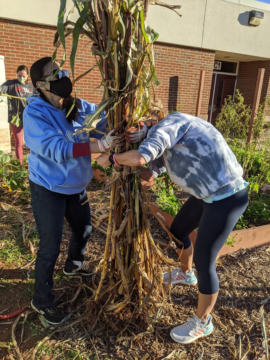 DTES_Landscape tweet media