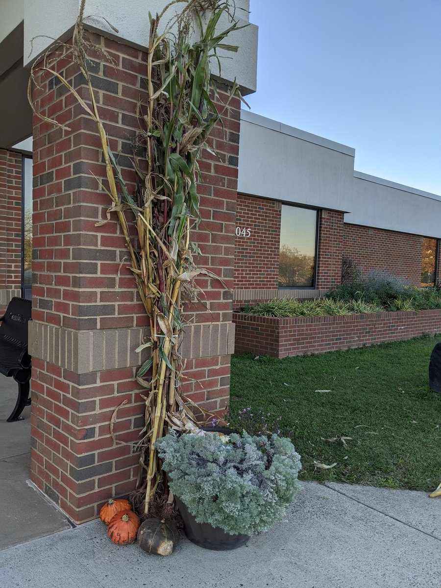 DTES_Landscape tweet media