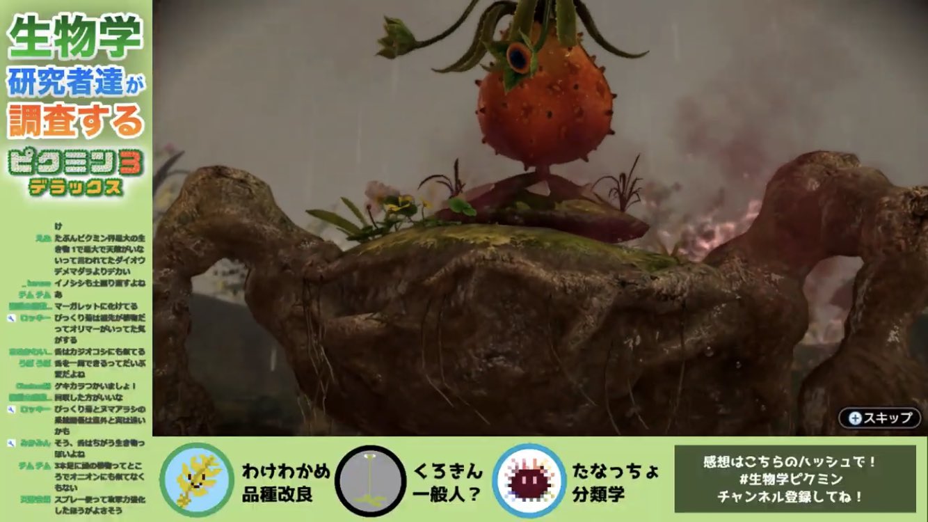ジョン ヌマアラシについてたシシガシラ ピクミンにでてくる原生生物はさすがに見つけられないので ピクミンにでてきてリアルで見られる植物を見つけるという遊びをする ゆるふわ生物学 の 生物学ピクミン は学べることも多くておもしろい T