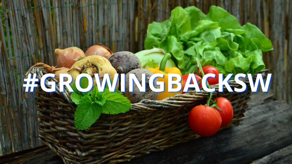 duchyRBS's tweet photo. @DavidButler34 Why not join us on 11th Nov when we will discuss connecting food with local people with @Riverford and @TamarGrowLocal
Busy? Register anyway and we will send you the recording post event.
https://t.co/a79llpr3MB
#growingbacksw https://t.co/X3UwtgrCux