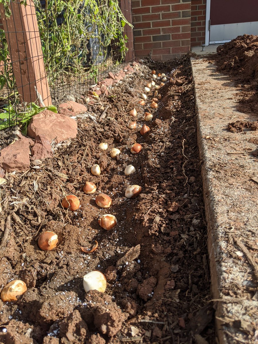 DTES_Landscape tweet media