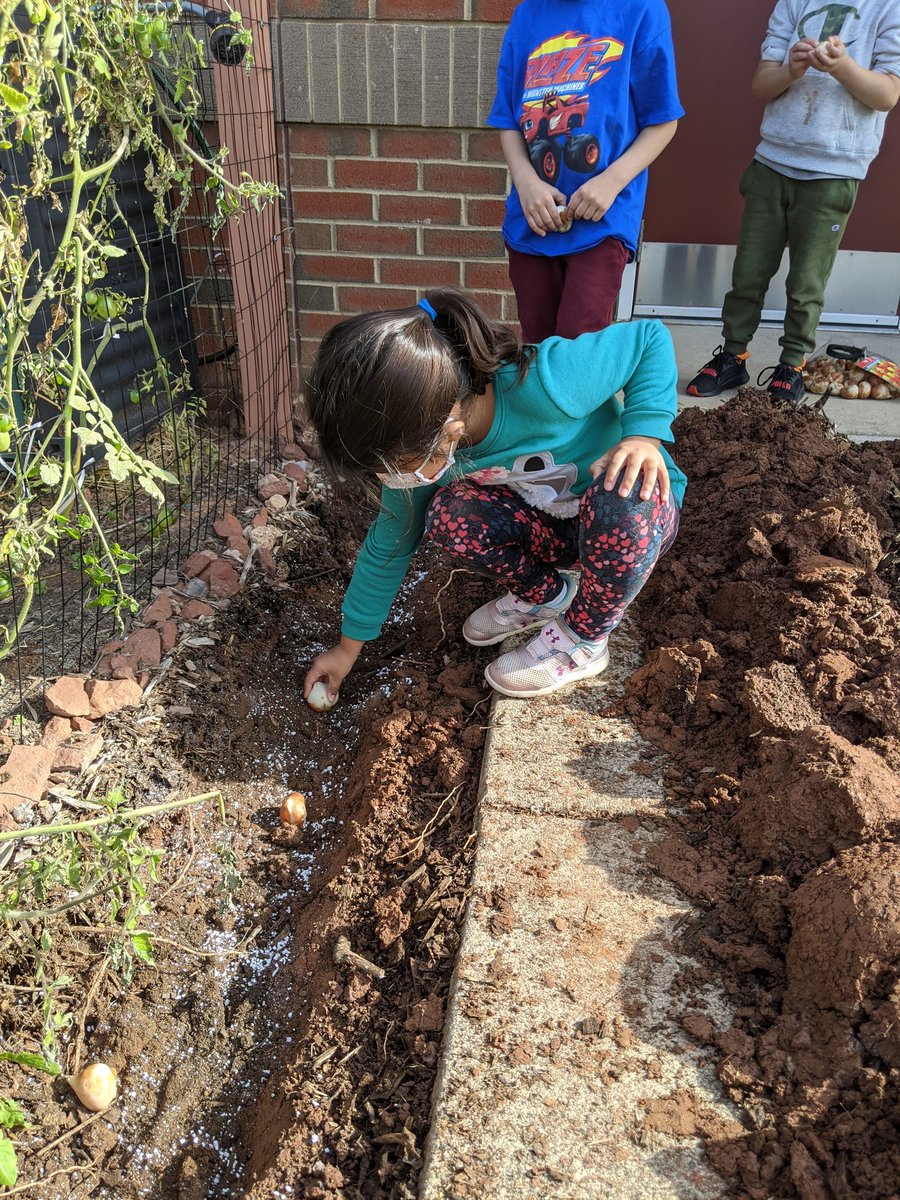 DTES_Landscape tweet media