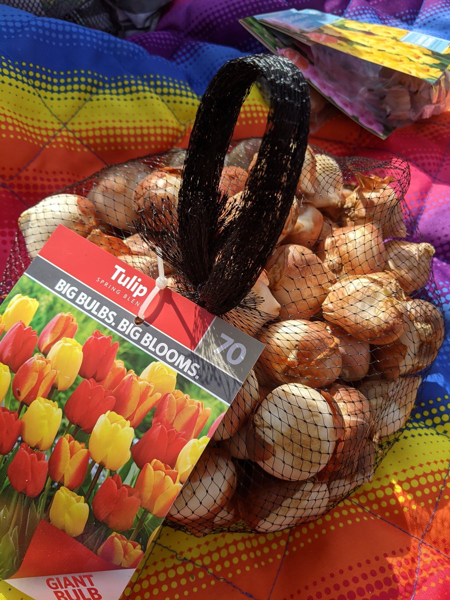 DTES_Landscape tweet media