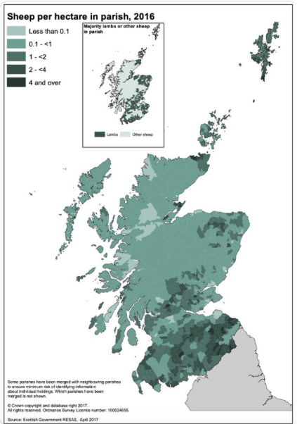 Note also how sheep densities in Scotland are not as uniform as the large scale Euro map suggests and that the Highlands have far fewer sheep than the lowlands. The scope for a return to traditional shepherding and premium "wolf-friendly" lamb & mutton here feels intriguing.