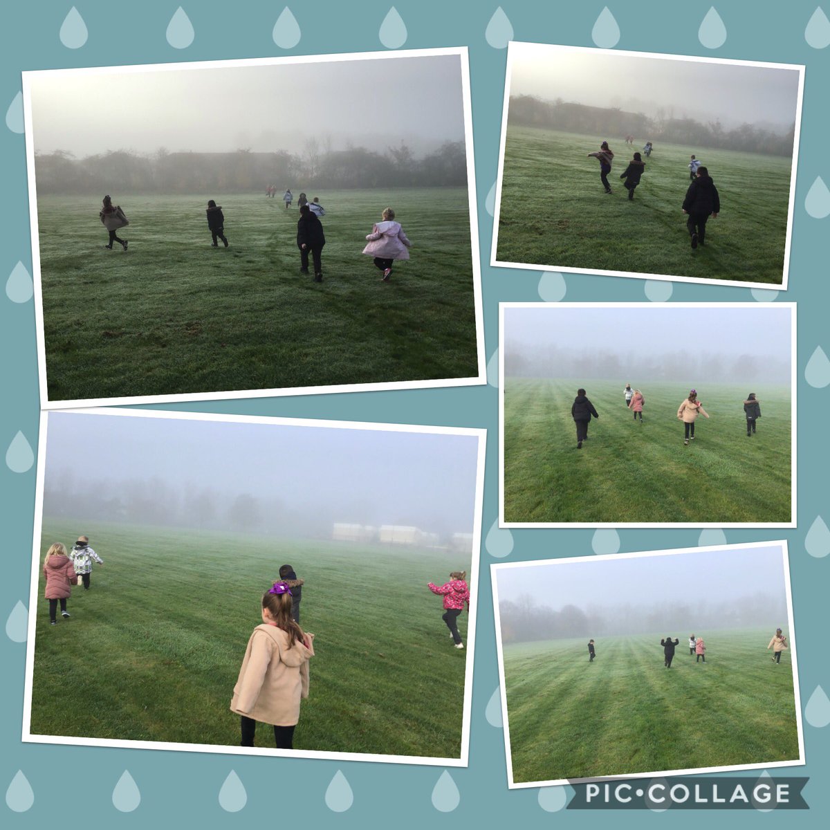 Ducklings tweet media