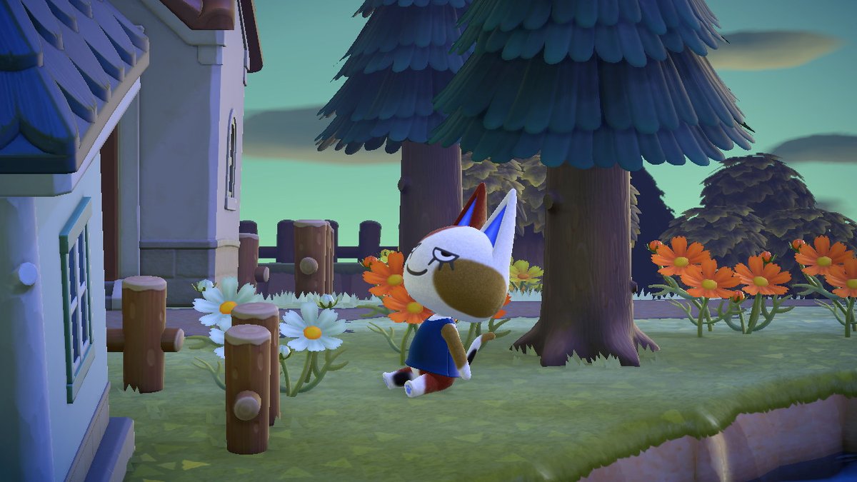 duhserenityy's tweet image. why is every picture i take of her perfect