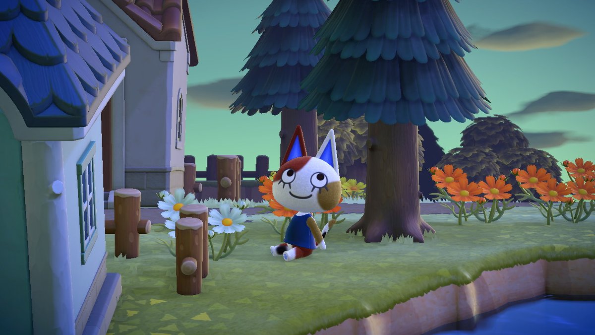 duhserenityy's tweet image. why is every picture i take of her perfect