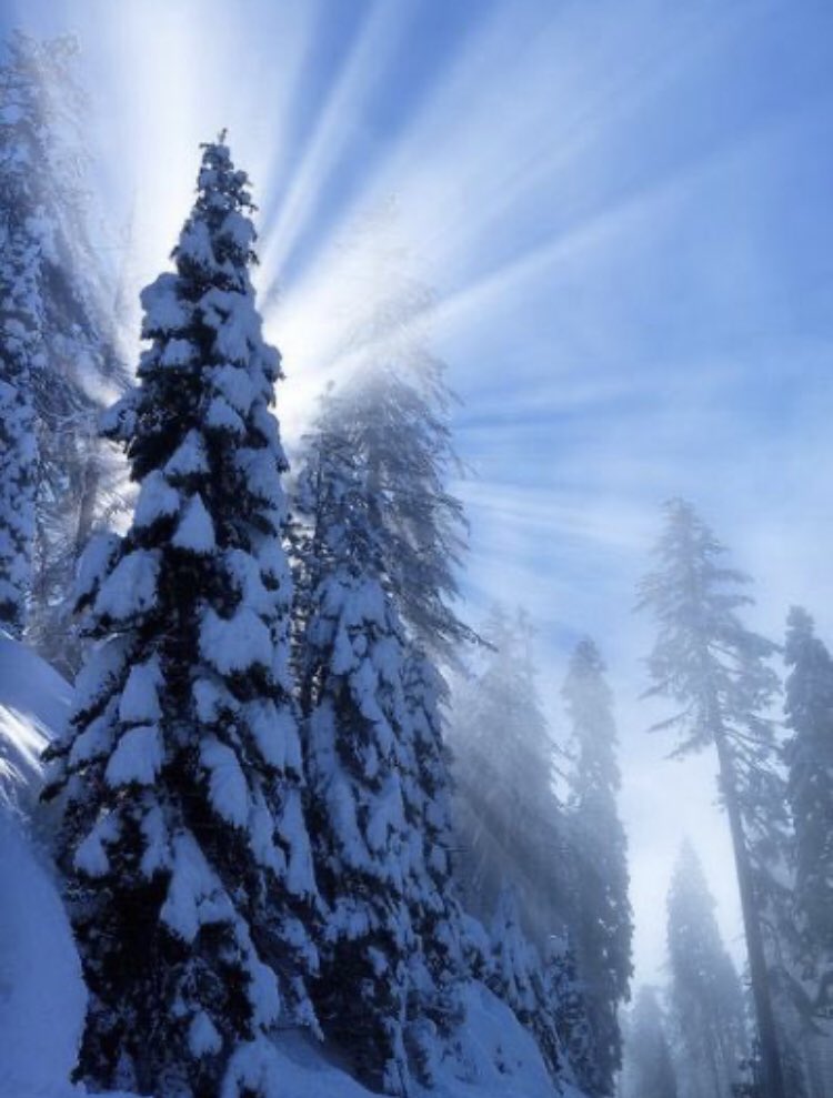 SnowstormIn January of 2017 I had this vision & word from the Lord. The following is exactly what I wrote down that day. I hope it will encourage you. I closed my eyes to pray & immediately I saw a snowstorm. The snow was heavy & obscured my ability to see anything around me.