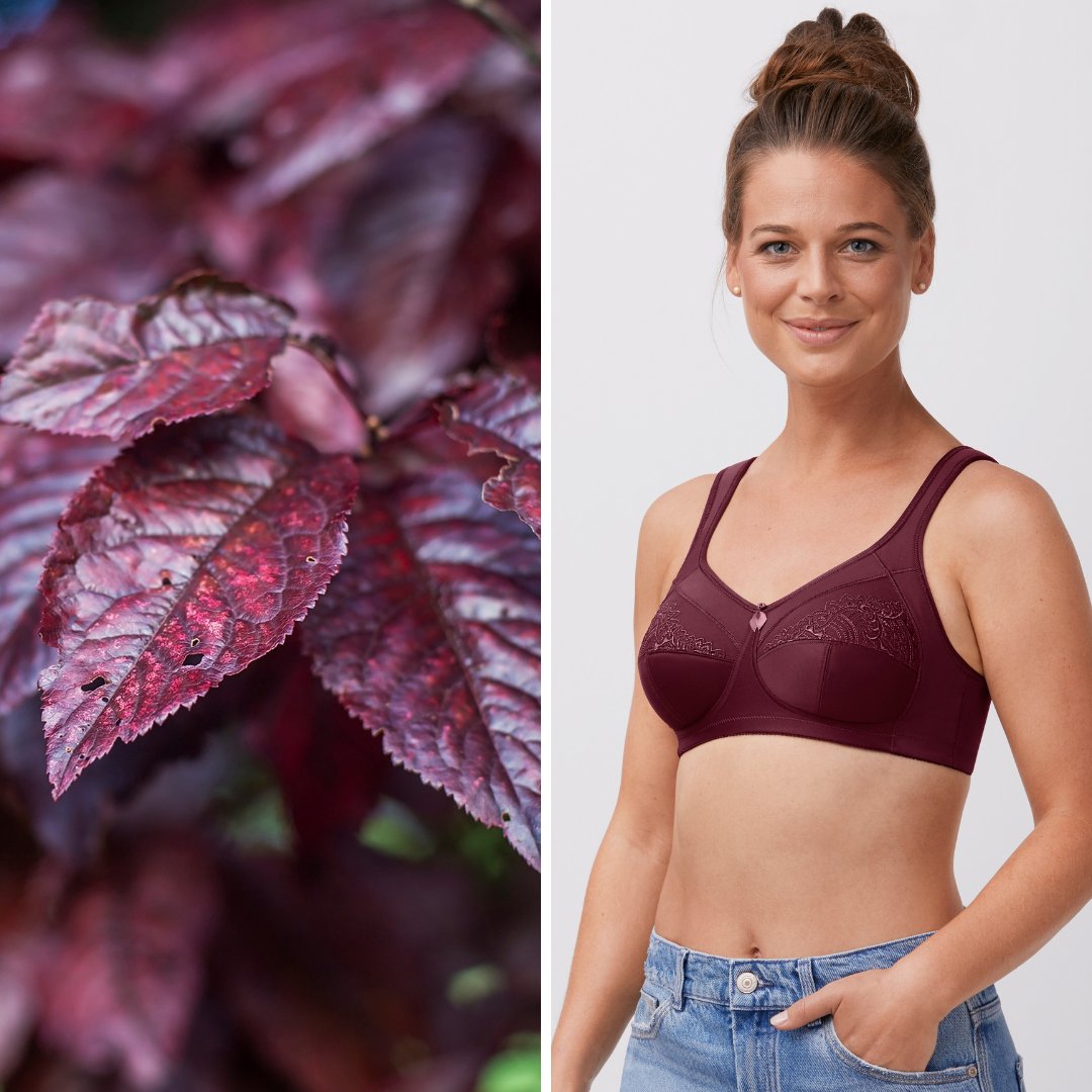 AmoenaCompany's tweet photo. Inspired by nature's beauty. 🕸️ 🍂 🌿 🌛 🌊 In stores now. https://t.co/lTHE8PNibh  #amoena #lingerie #supportingconfidence #nature #beauty #mastectomy #fashion #design https://t.co/x4KRsYXbJh