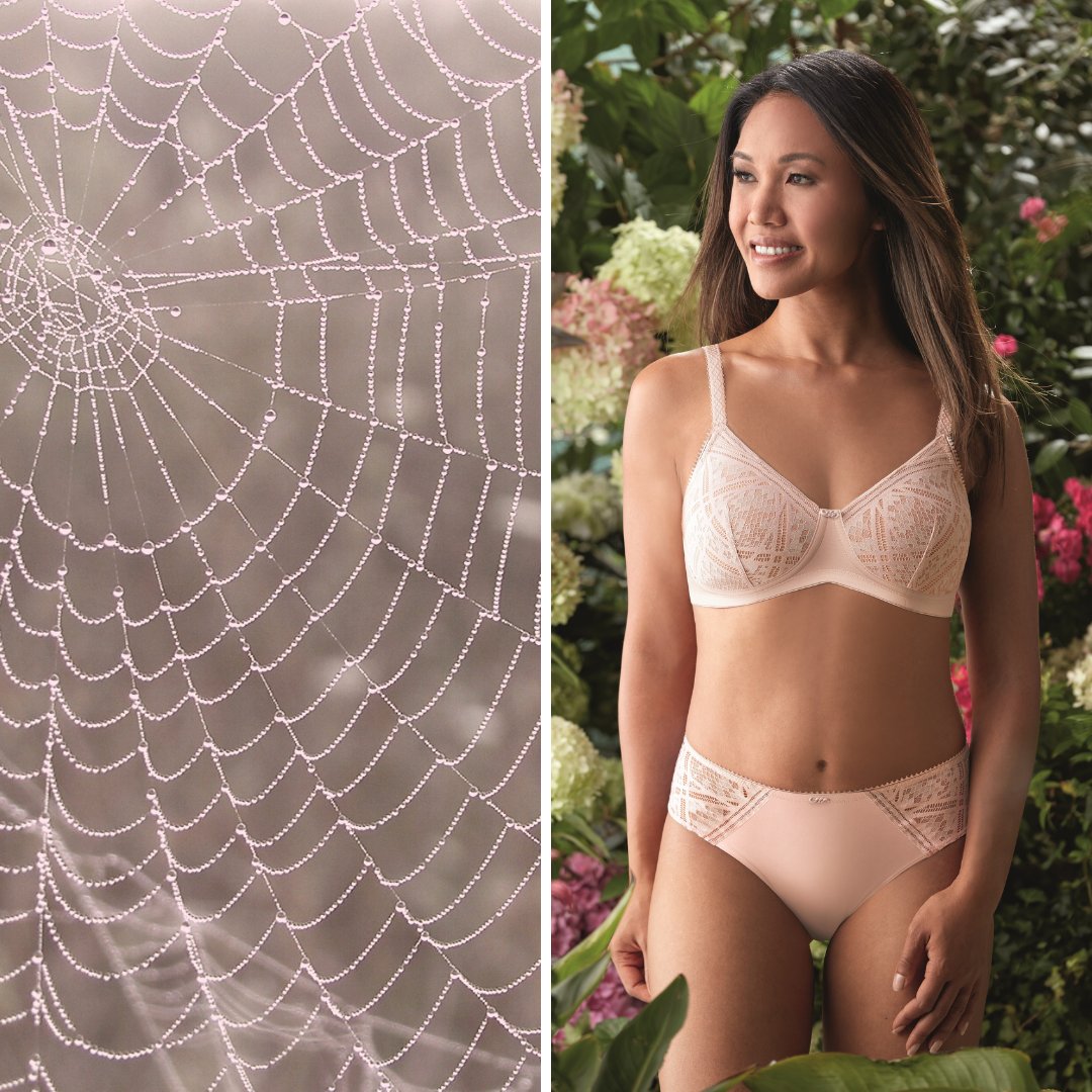 AmoenaCompany's tweet photo. Inspired by nature's beauty. 🕸️ 🍂 🌿 🌛 🌊 In stores now. https://t.co/lTHE8PNibh  #amoena #lingerie #supportingconfidence #nature #beauty #mastectomy #fashion #design https://t.co/x4KRsYXbJh