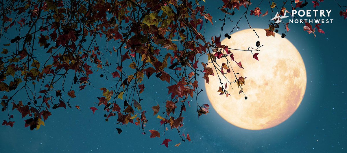 The moon swelled then emptied
into its shadow. We learned this week
the black singer died.

In partnership with <a href="/poetrynw/">Poetry Northwest</a> the poem, "Ceremony" by Camille T. Dungy, is available as a Blast. Read &amp; reflect with students about finding joy during a painful pandemic. #poetry #ELA ...