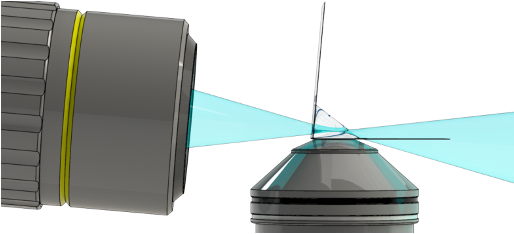 Aleks Ponjavic tweet media