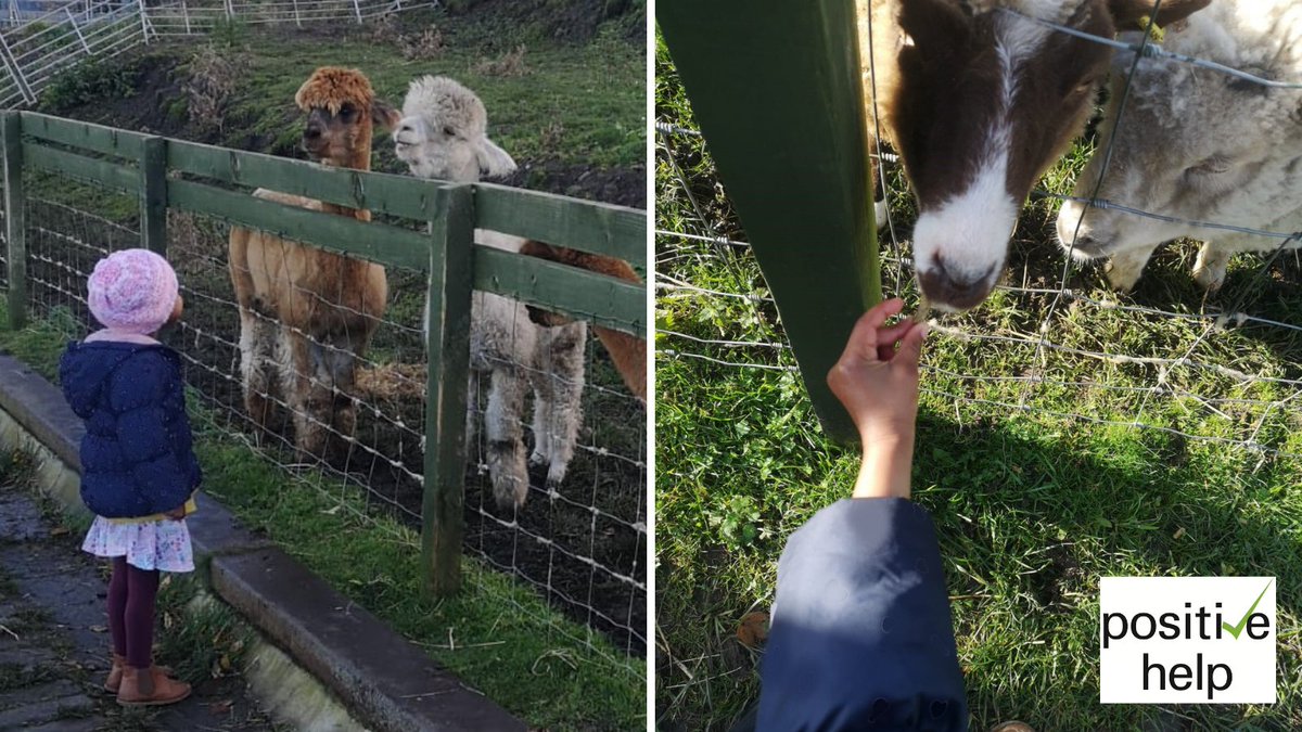 #BefriendingIs having someone to share new experiences with, like meeting the alpacas & sheep @LOVEGorgieFarm for the first time! Just one of the activities our CYP Befrienders & befriendees enjoy - buff.ly/32m2AaJ #befriendingweek #BefriendingIs @befriendingnet