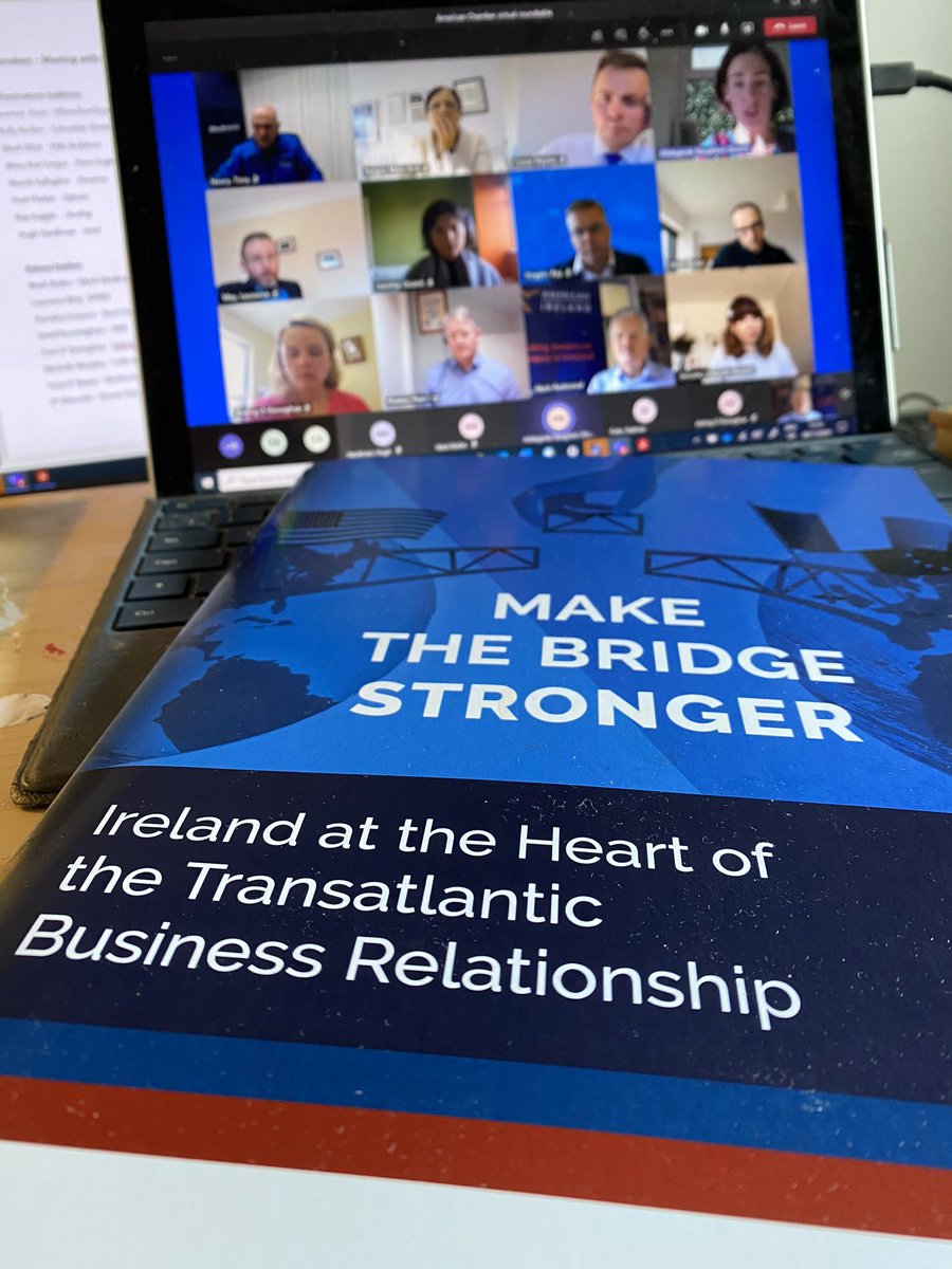 AmericanChamber's tweet photo. Really constructive engagement today with Minister @1Hildegarde Naughton & our #Galway members & our #infrastructure task force on how we can collectively #MakeTheBridgeStronger https://t.co/3k8ZFRN0AY