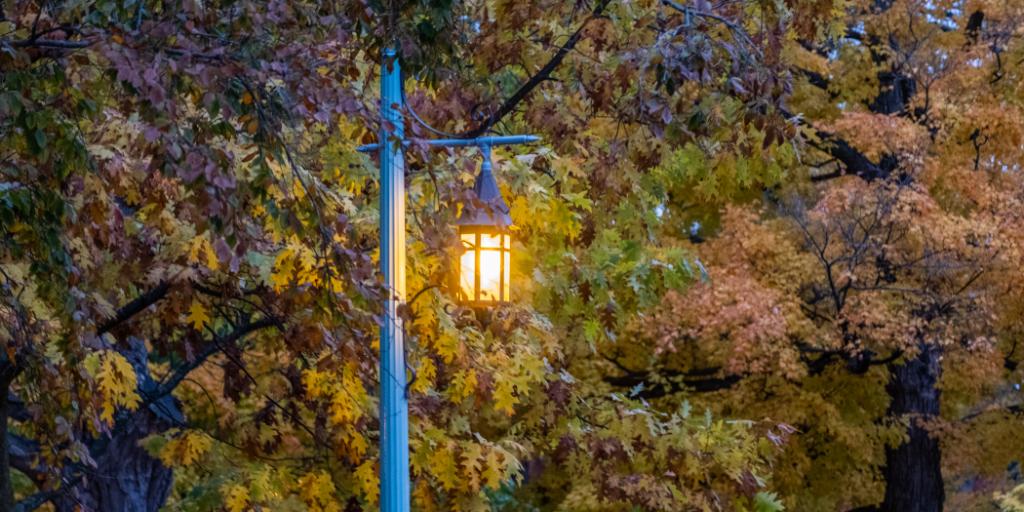 michiganstateu's tweet photo. Our favorite view in the mitten. https://t.co/7UOHzlTNiw