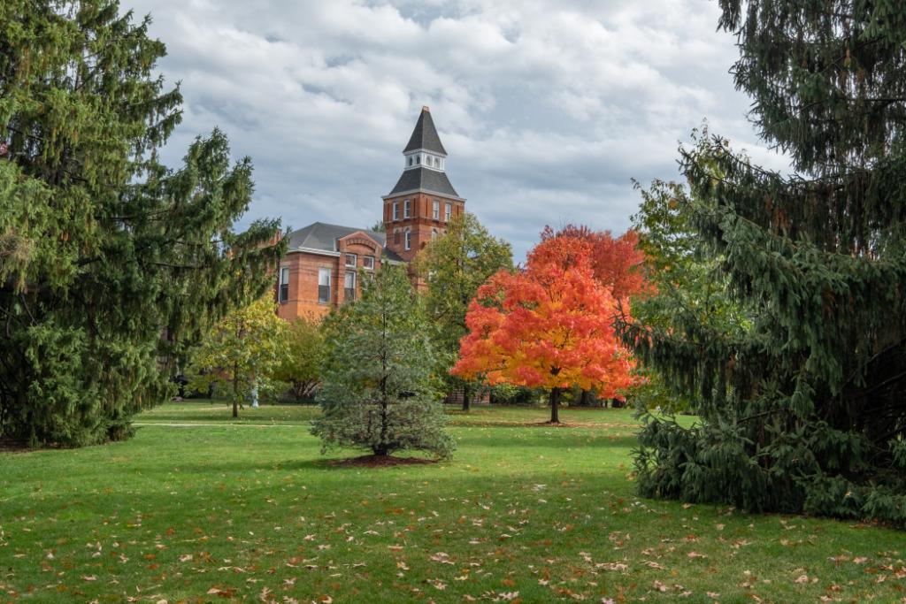 michiganstateu's tweet photo. Our favorite view in the mitten. https://t.co/7UOHzlTNiw