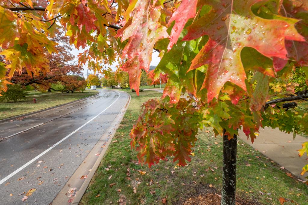 michiganstateu's tweet photo. Our favorite view in the mitten. https://t.co/7UOHzlTNiw
