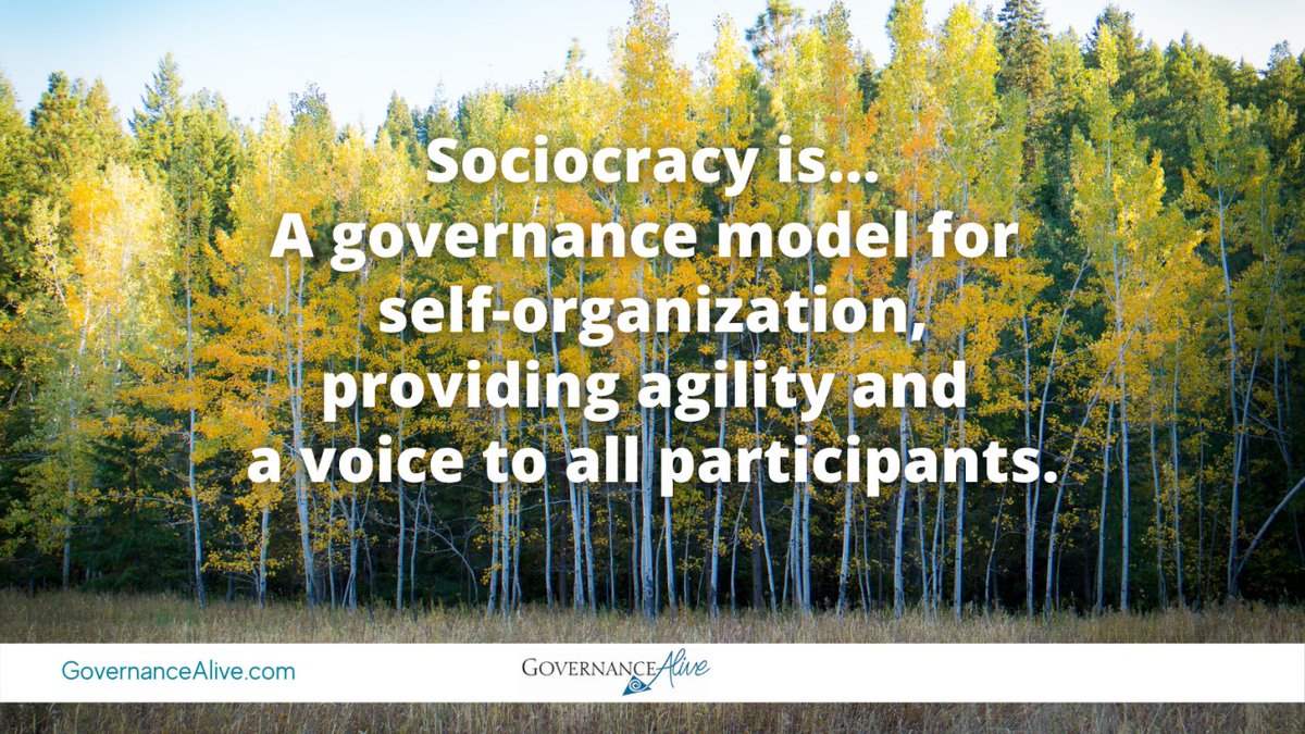 Sociocracy is... 🤔
a governance model for self-organization providing agility and a voice to all participants 🎉

#FutureOfWork #Decentralized #Governance ❤️