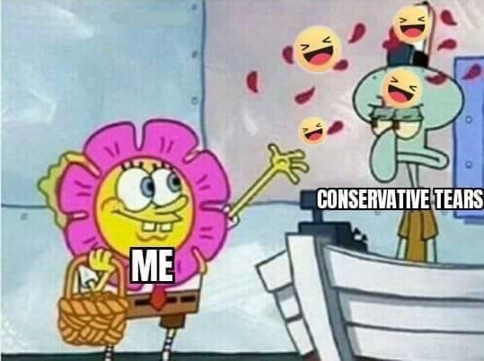 Please send me your best “Trump lost” memes