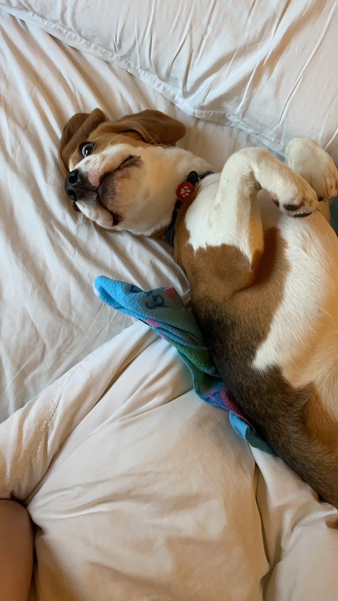 Kairan Knight tweet media