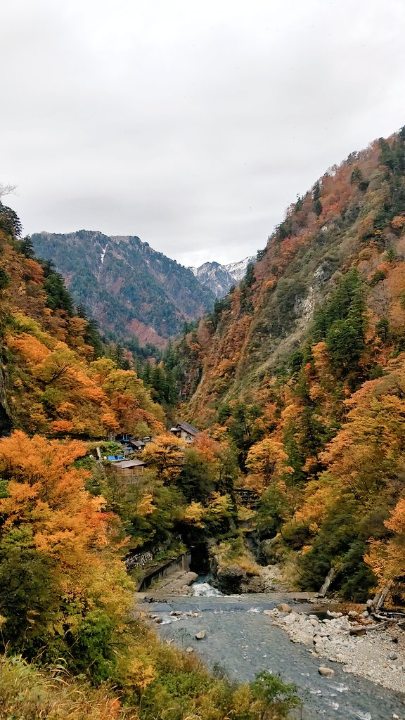 紅葉を観てきました? 