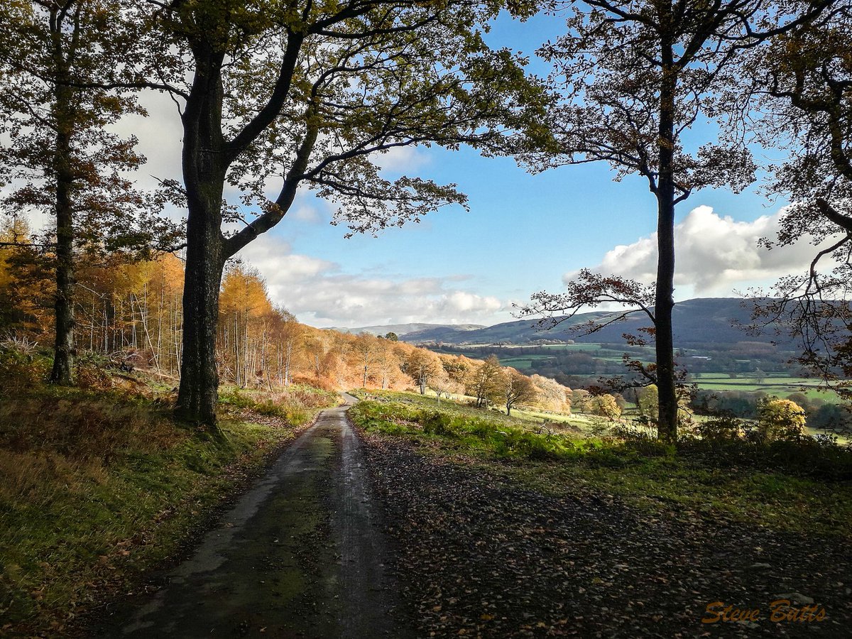 Yesterdays walk near Rhayader, cool but dry.
