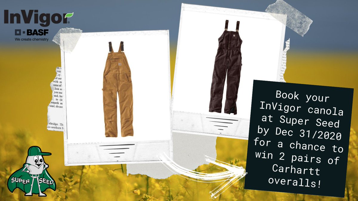 SuperSeedInc's tweet image. 