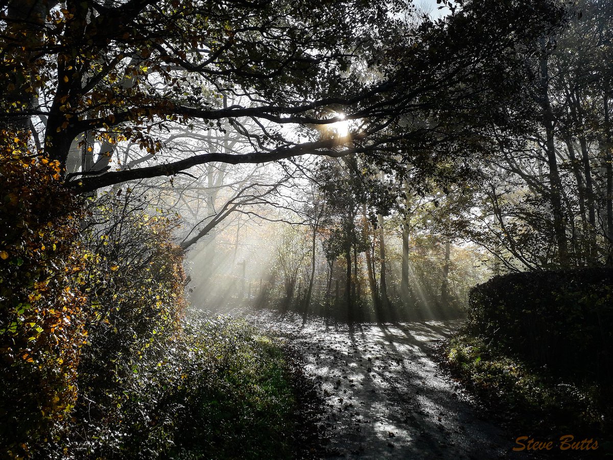 Sunbeams
