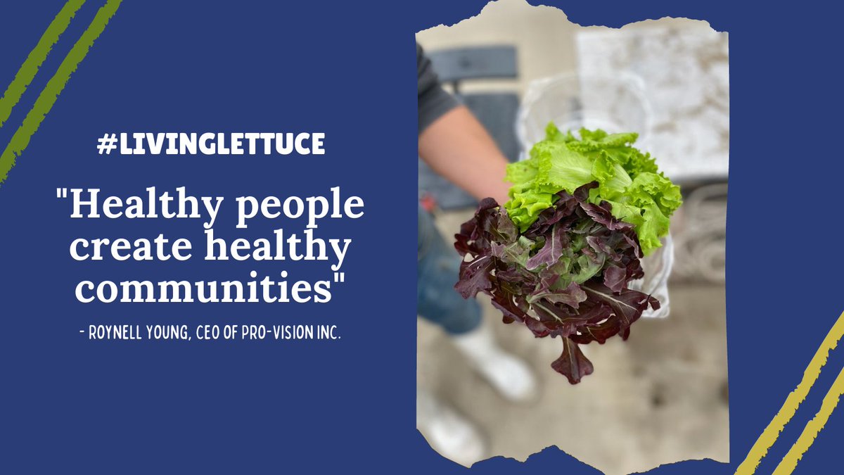 provinchouston's tweet photo. Have you checked out our #LivingLettuce at your local @HEB?! Tag us in pictures of whatever meals you whip up using your #ProvisionHEB products all throughout #NutritionNovember! https://t.co/q06HSHpEFr
